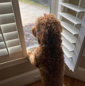 Meet your Posher, Logan